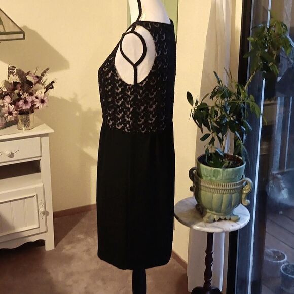 Loft Lace and Chiffon Skirt. Lace. Whimsigoth. Dressy - Picture 6 of 13